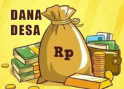 Dugaan Penyalahgunaan Dana Desa, Pemuda Minta Bupati Raja Ampat Turunkan PLT dan Inspektorat Didesak Tingkatkan Pengawasan di Misool Utara