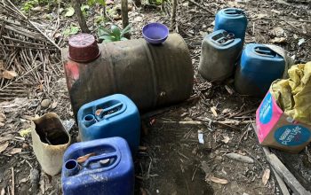 Polresta Sorong Kota Bongkar Pabrik Miras Cap Tikus, Polisi Amankan Warga Katapop dan 70 Liter Miras Disita