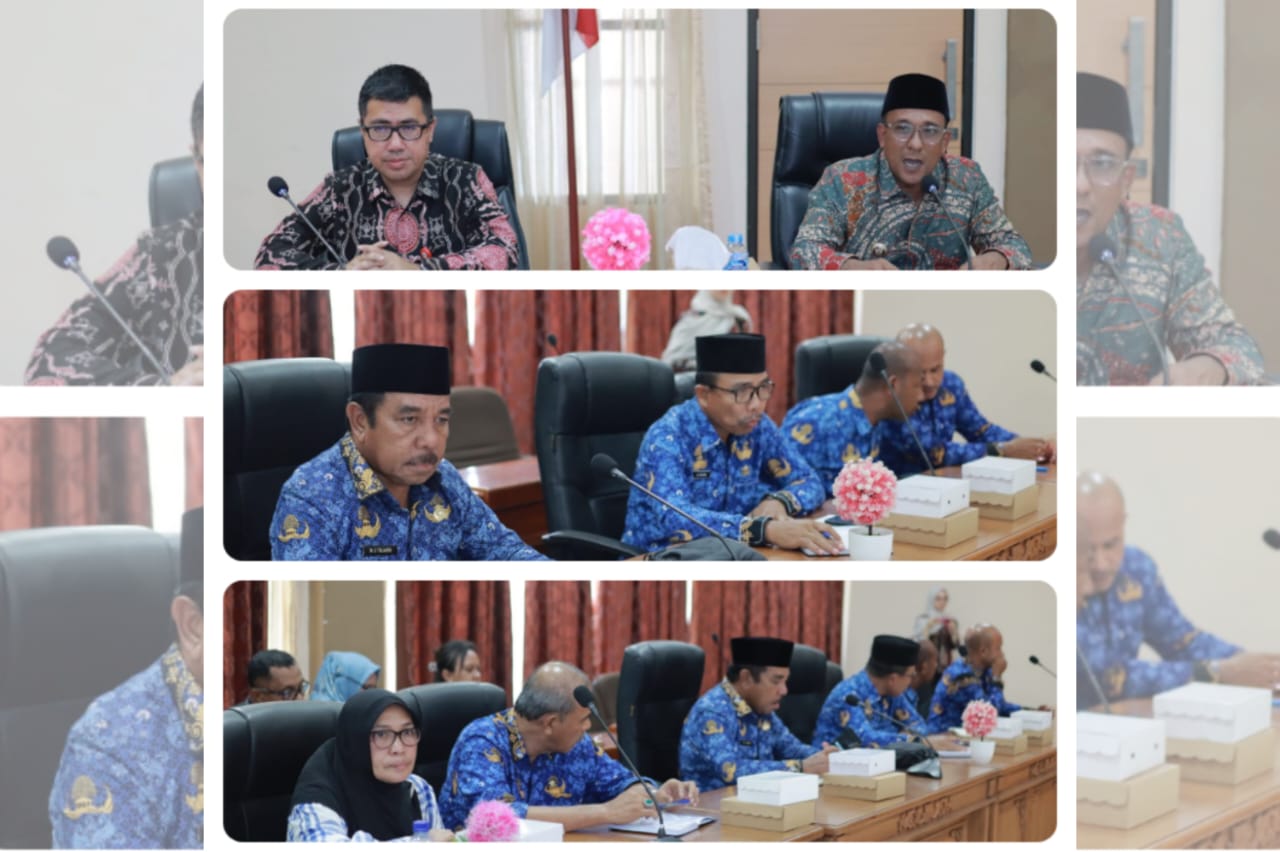 Bupati Zulkarnain Apresiasi Peran OJK Provinsi Maluku Dalam Menginisiasi Rapat Pleno TPAKD Semester I Tahun 2026