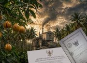 Groundbreaking PSN Tananahu Dipastikan Segera Digelar, Ekonomi Masyarakat Kian Berkembang