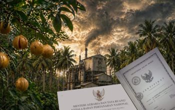 Groundbreaking PSN Tananahu Dipastikan Segera Digelar, Ekonomi Masyarakat Kian Berkembang