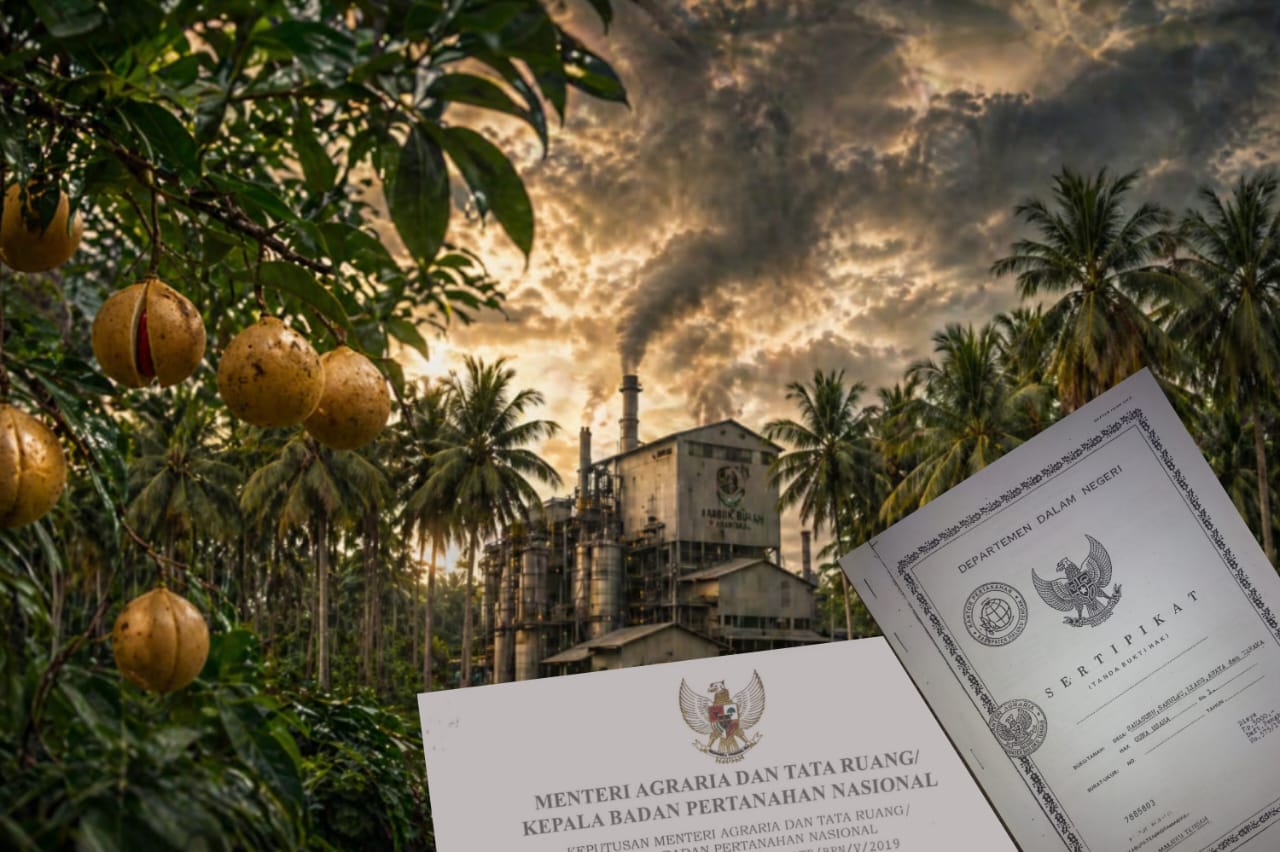 Groundbreaking PSN Tananahu Dipastikan Segera Digelar, Ekonomi Masyarakat Kian Berkembang