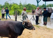 Polda PBD Hadir untuk Umat, Hewan Kurban Disalurkan ke Pondok Pesantren