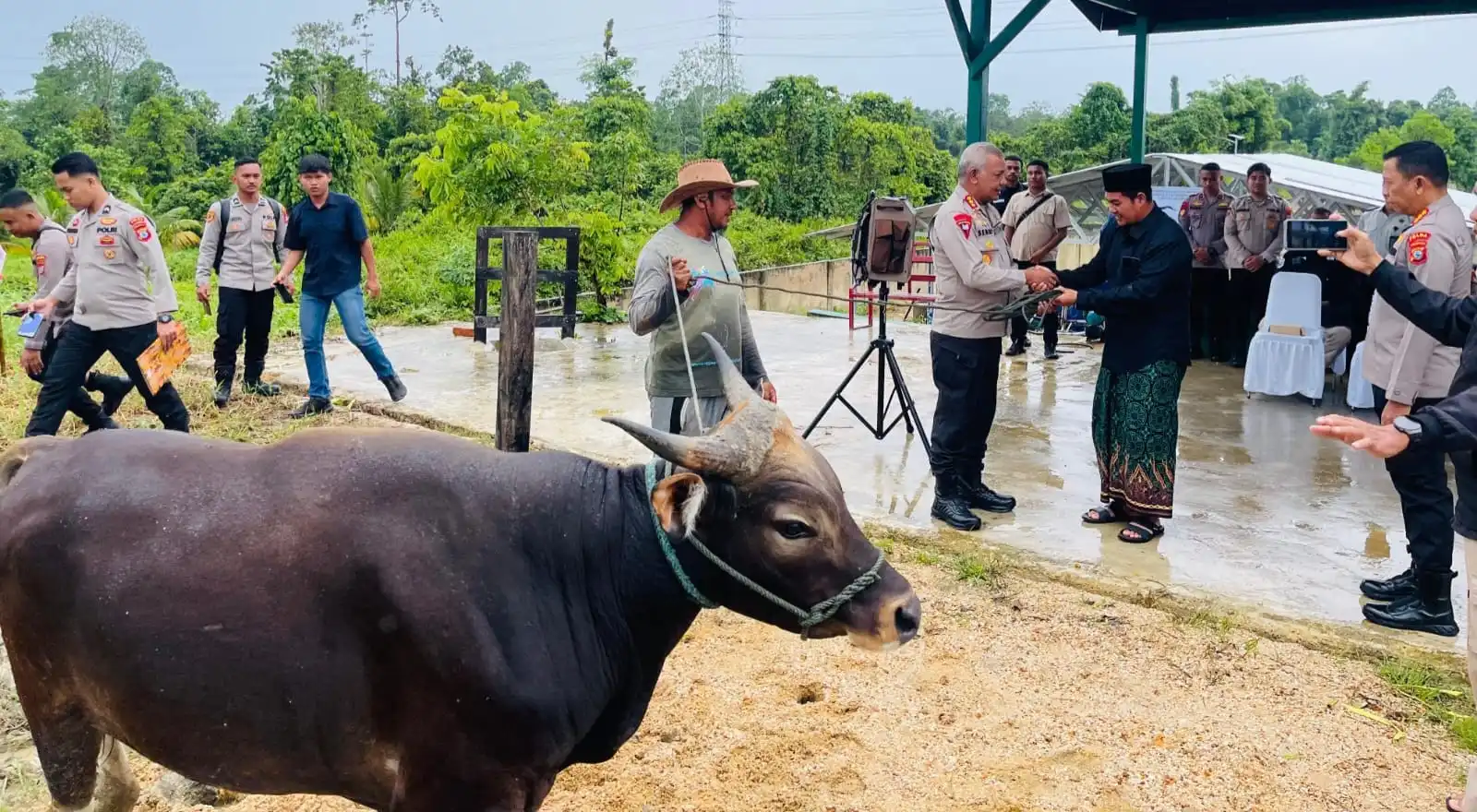 Polda PBD Hadir untuk Umat, Hewan Kurban Disalurkan ke Pondok Pesantren