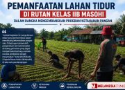 Rutan Masohi Optimalkan Lahan Tidur untuk Ketahanan Pangan, Warga Binaan Dilibatkan Kelola Kebun Kangkung