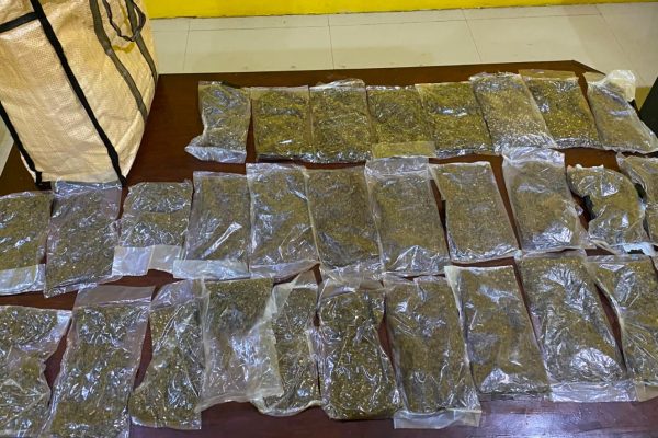 Tim BRASKO Polresta Sorong Kota Sita 597 Gram Ganja, Seorang Perempuan Ditangkap