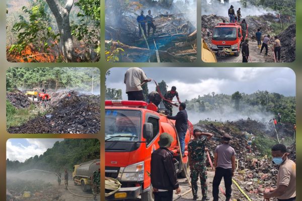 Raja Ampat Dilanda Karhutla, BPBD Kerahkan Penanganan Lintas Sektor