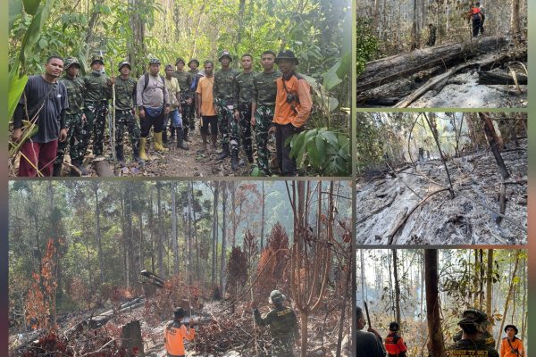 Karhutla di Raja Ampat Meluas, Tim Gabungan Berhasil Padamkan Api di Area 30 Hektare
