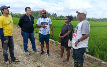 Sinergi BRIN, Legislatif dan Akademisi Dorong Kedaulatan Pangan Lintas Generasi di Papua Barat Daya