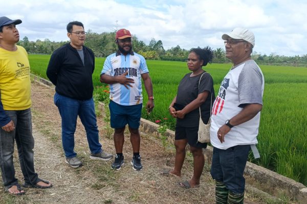 Sinergi BRIN, Legislatif dan Akademisi Dorong Kedaulatan Pangan Lintas Generasi di Papua Barat Daya