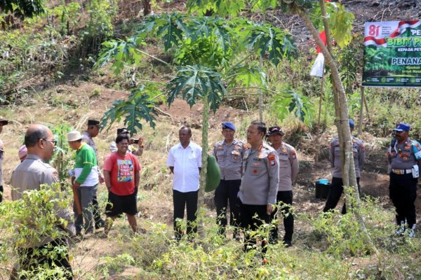Sambut HUT RI ke-81, Polresta Sorong Kota Bagikan 100 Bibit Pohon kepada Petani