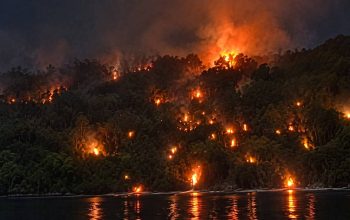 Breaking News : Si Jago Merah Kembali Melahap Pulau Dayan, Warga Serukan Bantuan Darurat