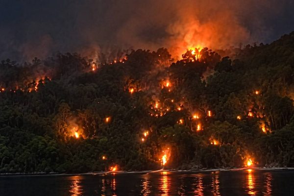 Breaking News : Si Jago Merah Kembali Melahap Pulau Dayan, Warga Serukan Bantuan Darurat