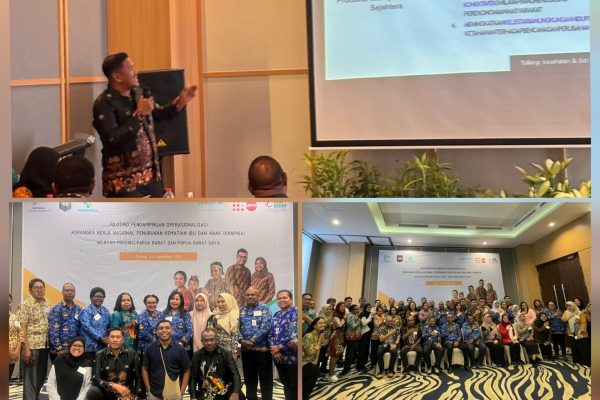 Bappeda Raja Ampat Kejar Zero Maternal Death, Ambulans Air hingga Rumah Tunggu Kelahiran Jadi Prioritas
