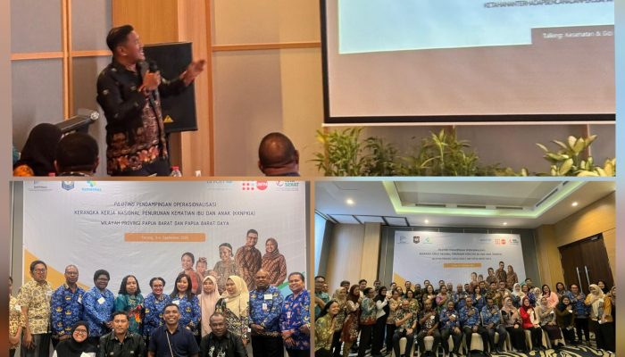 Bappeda Raja Ampat Kejar Zero Maternal Death, Ambulans Air hingga Rumah Tunggu Kelahiran Jadi Prioritas