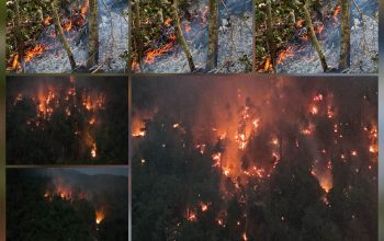 Tiga Kali Masa Tanggap Karhutla Raja Ampat Diperpanjang, Pemprov dan BNPB Terkesan Acuh Tak Acuh