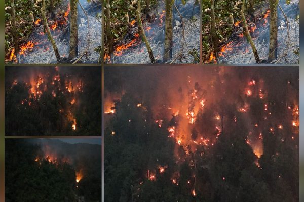 Tiga Kali Masa Tanggap Karhutla Raja Ampat Diperpanjang, Pemprov dan BNPB Terkesan Acuh Tak Acuh