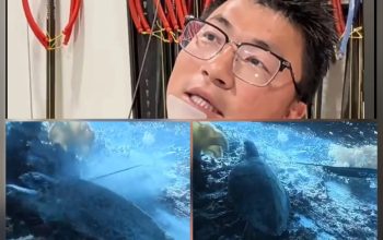 WNA China Diduga Buru Penyu di Kawasan Konservasi Raja Ampat, Berhasil Diamankan di Makassar
