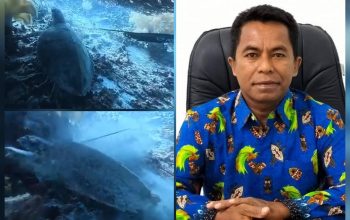 BLUD KKP Raja Ampat Kecam WNA China Pemburu Penyu, Komitmen Kasus Dikawal Transparan