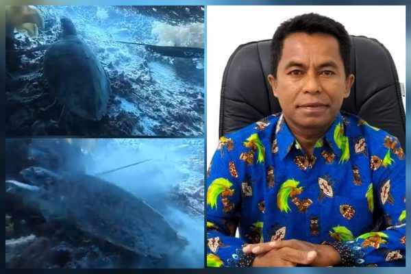 BLUD KKP Raja Ampat Kecam WNA China Pemburu Penyu, Komitmen Kasus Dikawal Transparan