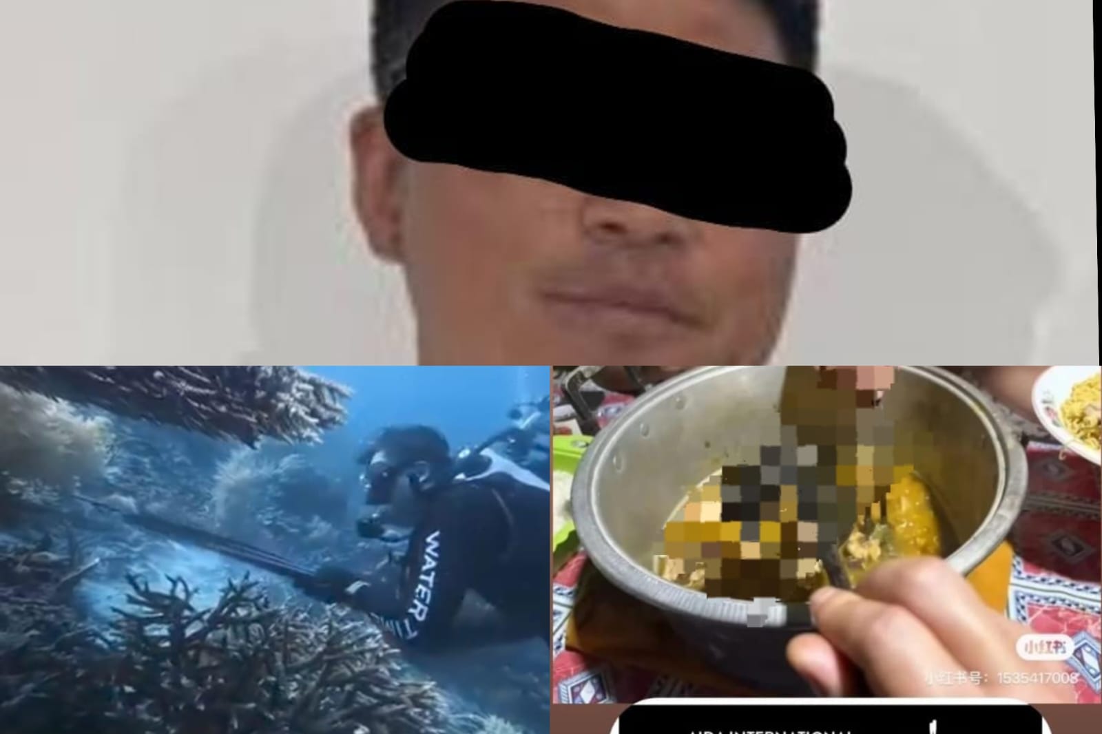 Polda Papua Barat Daya Dalami Dugaan Perburuan Penyu Sisik oleh Wisatawan Asing di Raja Ampat