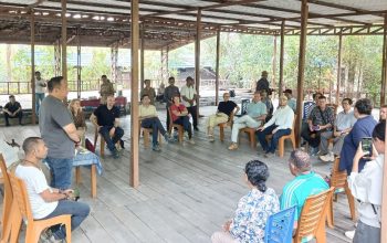 Jerman Lirik Pengembangan Wisata Mangrove Kelawalu, Zikri Helmi: Pemkot Sorong Buka Peluang Investasi