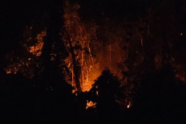 Breaking News: Darurat Karhutla! Api Diduga Bertahan Hampir Sebulan, Samate Kembali Terancam